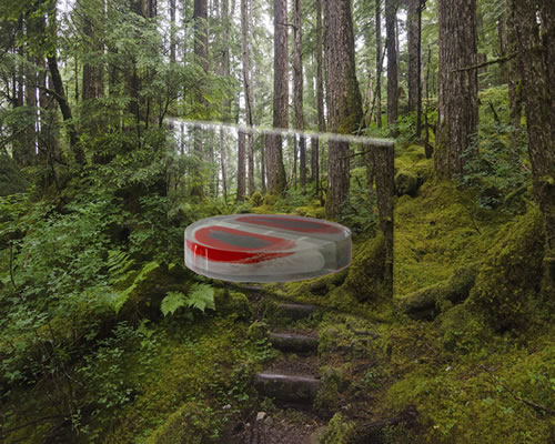 Glass sculpture red floating disc forest